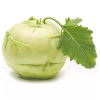 Green Kohlrabi, 0.33 Pound