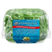 Hamakua Manoa Lettuce, Local, Hydroponic, 1 Each