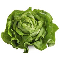 Local Manoa Lettuce, 1 Pound