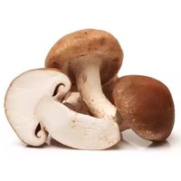 Shiitake Mushrooms