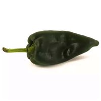 Poblano Pasilla Pepper, 0.4 Pound