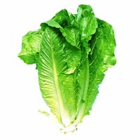 Local Romaine Lettuce, 1 Pound