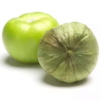 Tomatillo