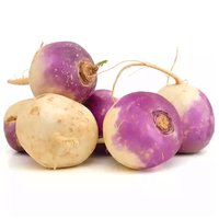 Purple Top Turnip, 2 Pound
