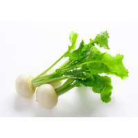 Kabu Turnip, 2 Pound