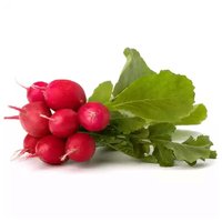 Radishes, 6 Ounce