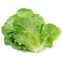 Baby Romaine Lettuce, 1 Pound