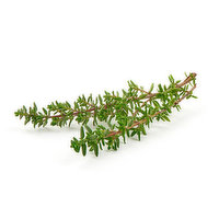 Thyme Herb