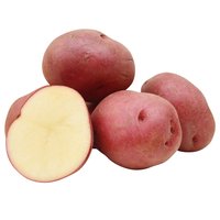 Potato, Red, 5 Pound