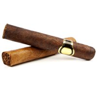 Partagas Black-Label Maximo Tube Cigar, 1 Each