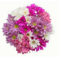 Mother's Day Crazy Daisies 8-stem, 1 Each