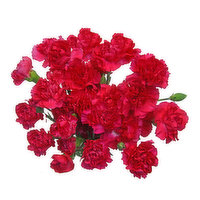 Mini Carnations, 10-Stem, 1 Each