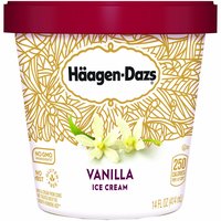 Haagen-Dazs Vanilla Ice Cream, 14 Ounce