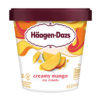 Haagen-Dazs Ice Cream, Mango, 14 Ounce