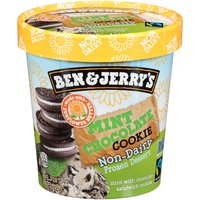 Ben & Jerry's Non-Dairy Mint Chocolate Cookie, 16 Ounce