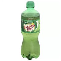 Canada Dry Ginger Ale, 20 Ounce