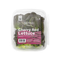 Sensei Farms Red Leaf Lettuce, Local, 4 Ounce