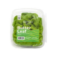 Sensei Farms Salad, Local Green Butter Leaf, 4 Ounce