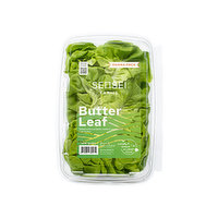 Sensei Farms Salad, Local Green Butter Leaf, 8 Ounce