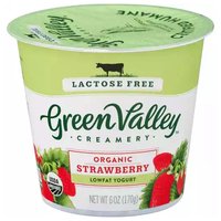 Green Valley Organics Lactose Free Yogurt Strawberry, 6 Ounce