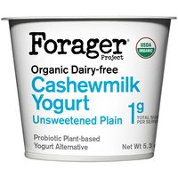 Forager Project Organic Unsweetened Plain Probiotic Cashewmilk Dairy Free Yogurt, 5.3 Ounce