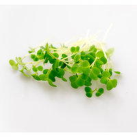 Broccoli Microgreen Mix, 2 Ounce