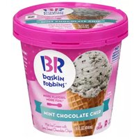 Baskin Robbins Ice Cream, Mint Chocolate Chip, 14 Ounce