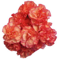 Baby Blooms Mini Carnations, 7-Stems, 1 Each