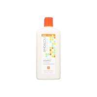 Andalou Argan & Orange Shampoo, 11.5 Ounce