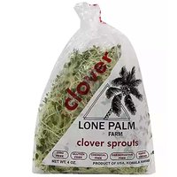 Lone Palm Local Clover Sprouts, 4 Ounce