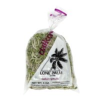 Lone Palm Daikon Sprouts, Local, 4 Ounce