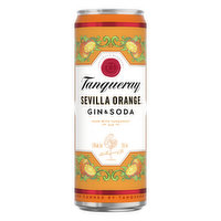 Tanqueray Sevilla Orange Gin & Soda (Single Can), 355 Millilitre