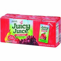 Juicy Juice Fruit Punch Slim (Pack of 8), 54 Ounce