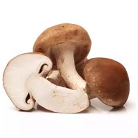 Hamakua Mushroom, Local, 4 Ounce