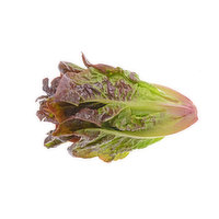 Lettuce, Organic Red Romaine, 1 Pound
