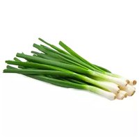 Organic Green Onion, Local, 1 Each