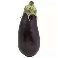 Organic Round Eggplant, Local, 2 Pound