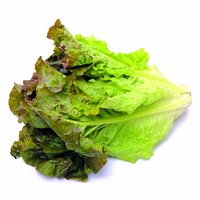 Organic Red Leaf Lettuce, 1 Each