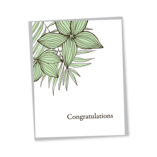 Bradley & Lily Plumeria Congratulations Greeting Card