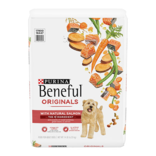 Beneful Originals With Natural Salmon, Skin and Coat Support Dry Dog Food