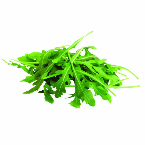 Arugula Herb