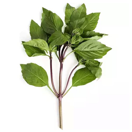 Thai Basil, Bunch