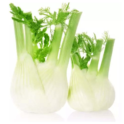 Local Fennel