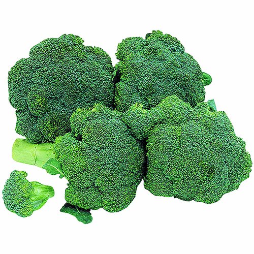 Broccoli