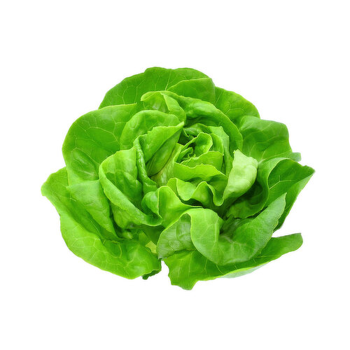 Lettuce, Local Buttter Hydroponic H-1