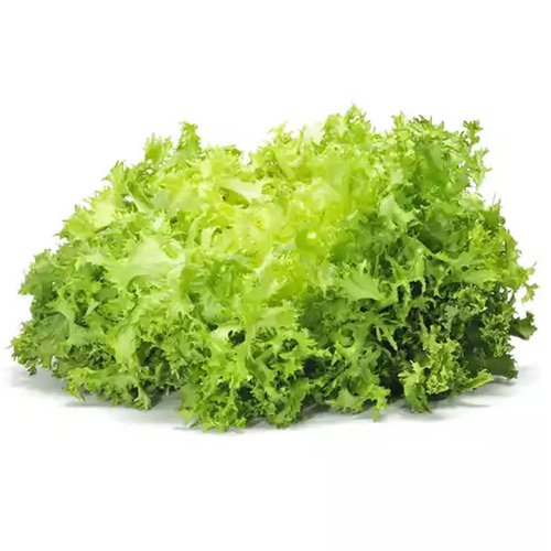 Sensei Local Crystal Lettuce