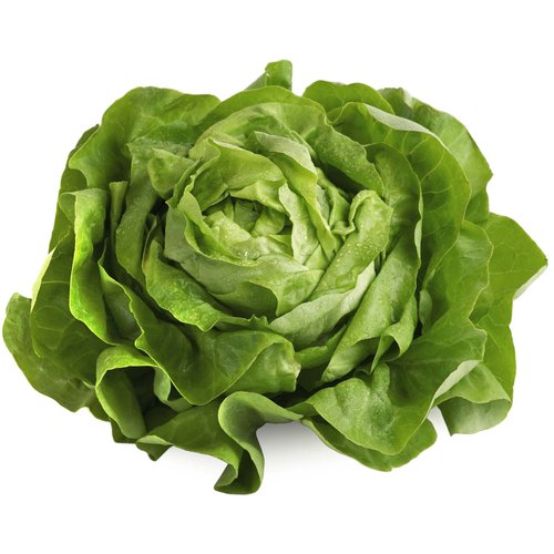 Local Hydro Lettuce