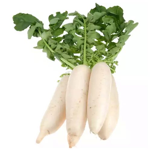 Radish