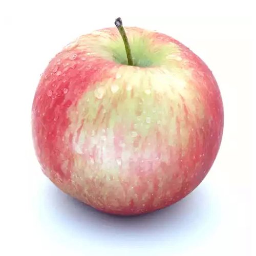 Macintosh Apples