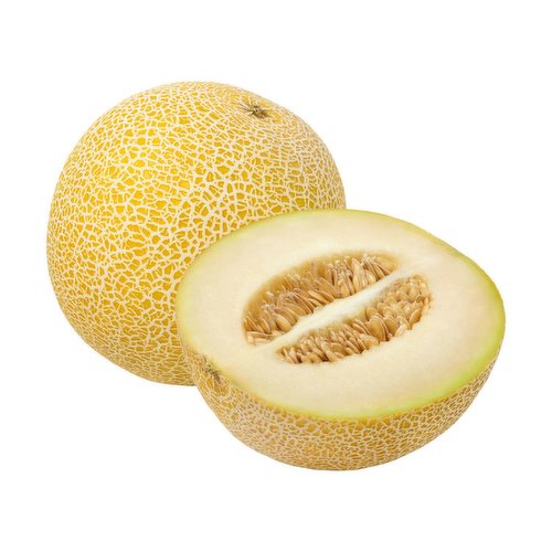 Galia Melon